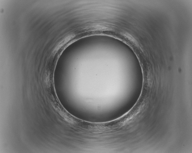 X0000065240873200602171421