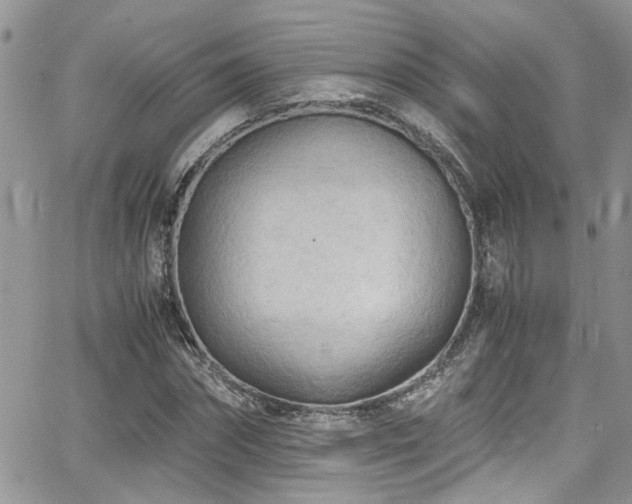 X0000065240874200602171421