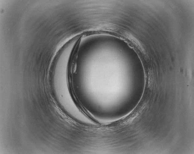 X0000065240876200602171421