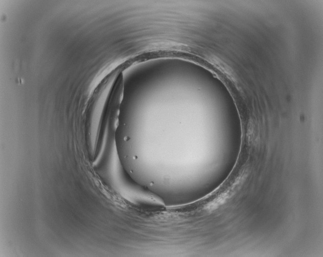 X0000065240877200602171421