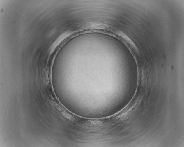 X0000065240878200602171421