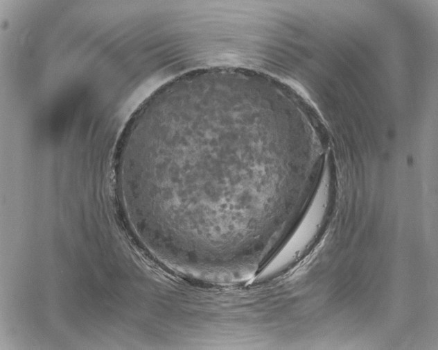 X0000065240879200602171421