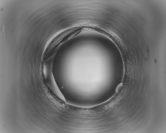 X0000065240880200602171421