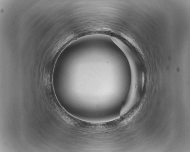 X0000065240881200602171421