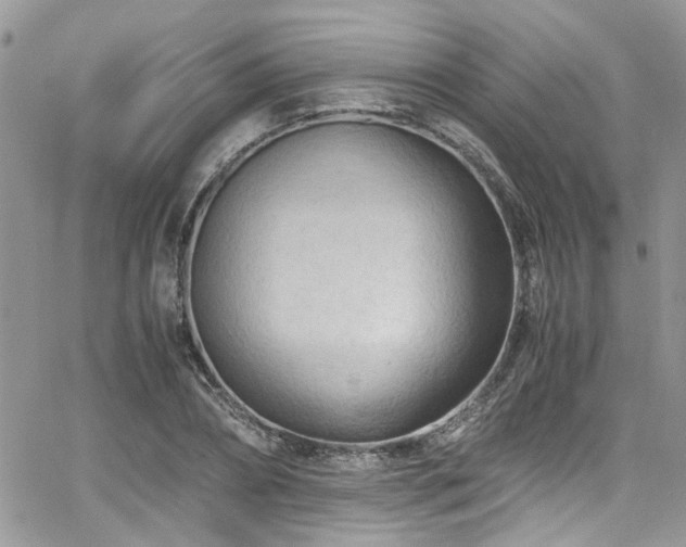 X0000065240882200602171421