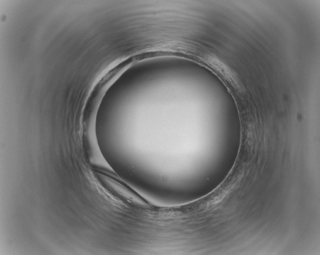 X0000065240884200602171421