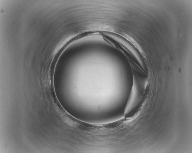 X0000065240885200602171421