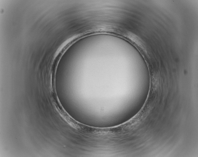 X0000065240886200602171421