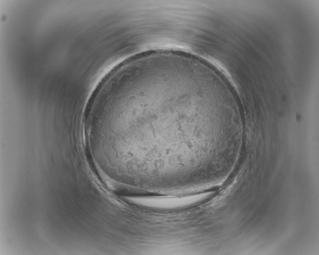 X0000065240887200602171421