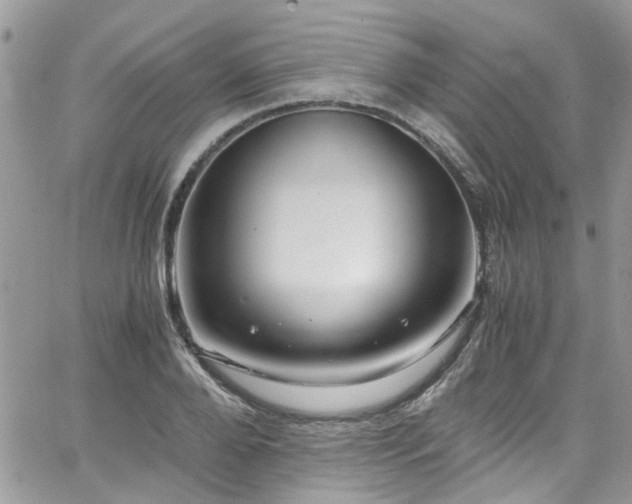 X0000065240888200602171421