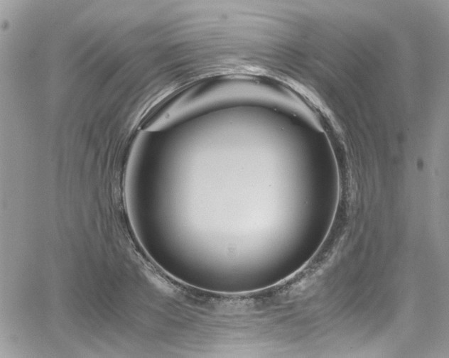 X0000065240889200602171421