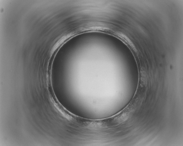 X0000065240890200602171421