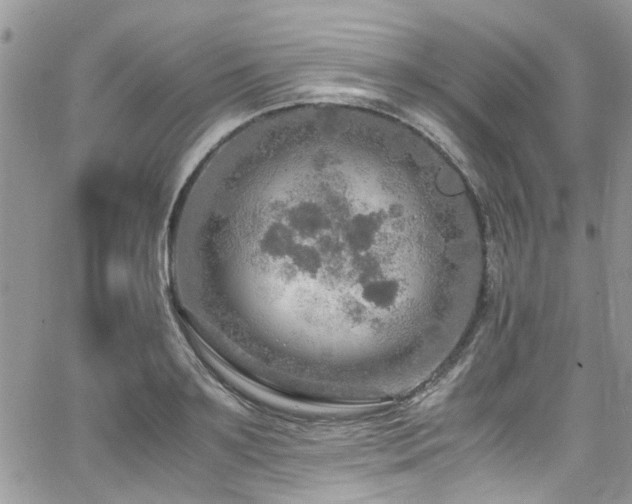 X0000065240891200602171421