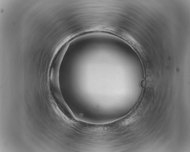 X0000065240892200602171421