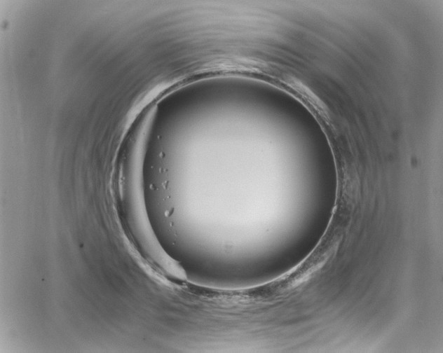 X0000065240893200602171421