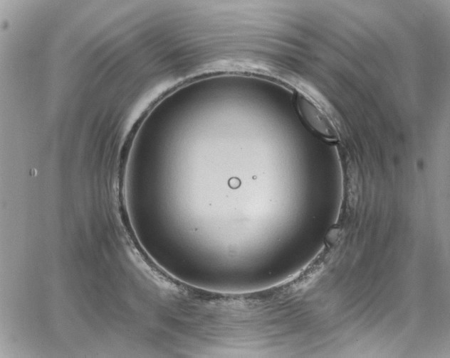 X0000065240896200602171421