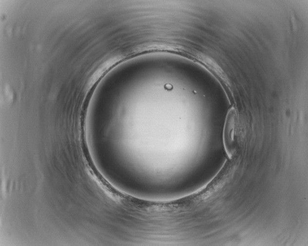 X0000065240898200602171421