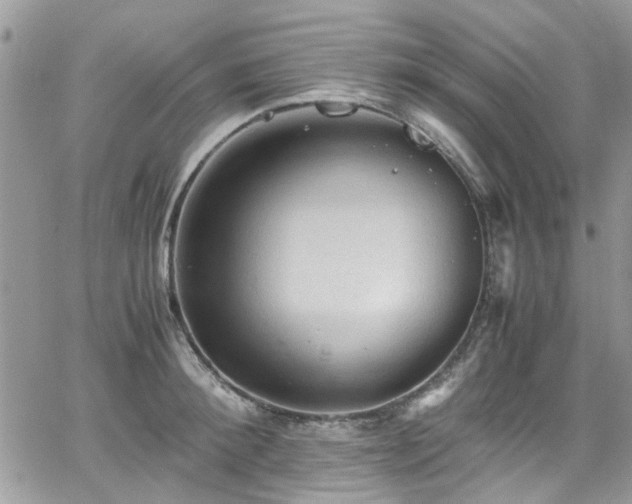 X0000065240900200602171421