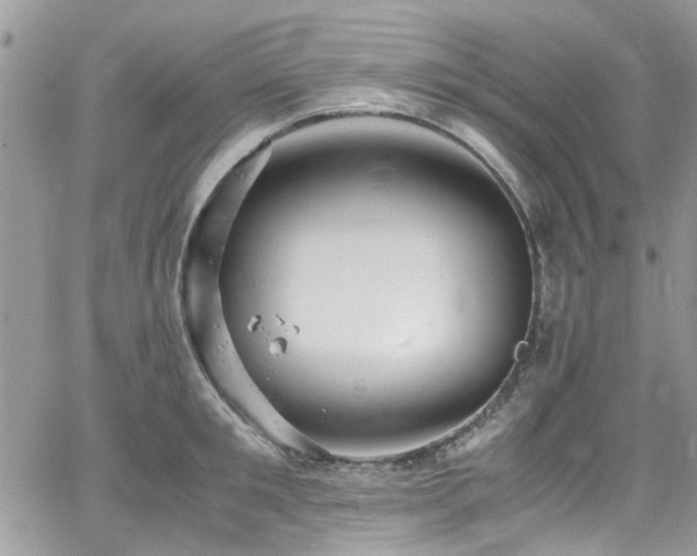 X0000065240901200602171421