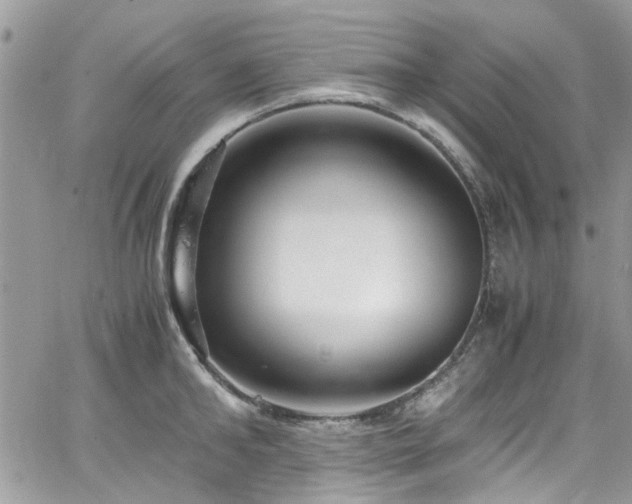 X0000065240902200602171421