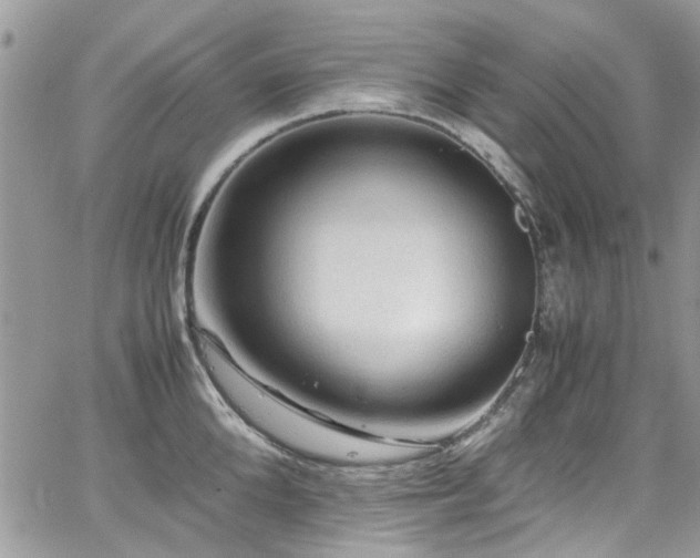 X0000065240904200602171421