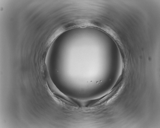 X0000065240905200602171421