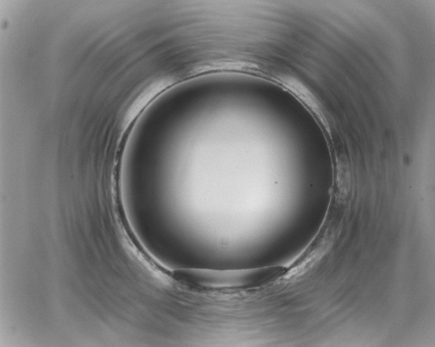 X0000065240906200602171421