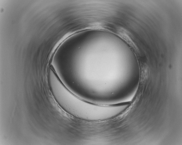 X0000065240908200602171421