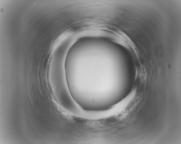 X0000065240909200602171421