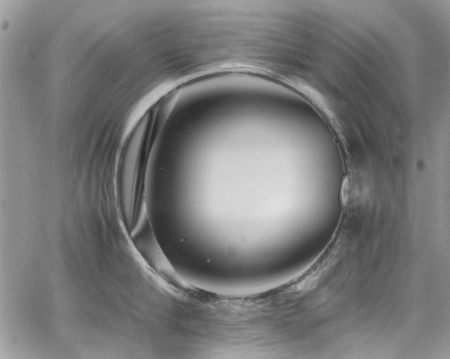 X0000065240910200602171421