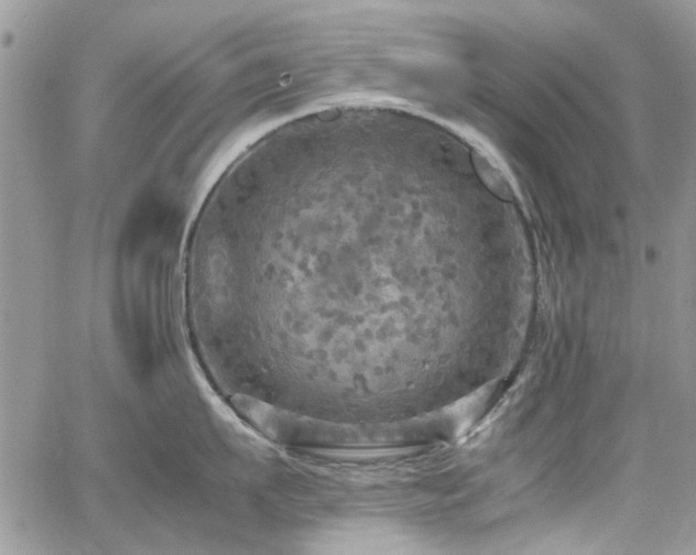 X0000065240911200602171421