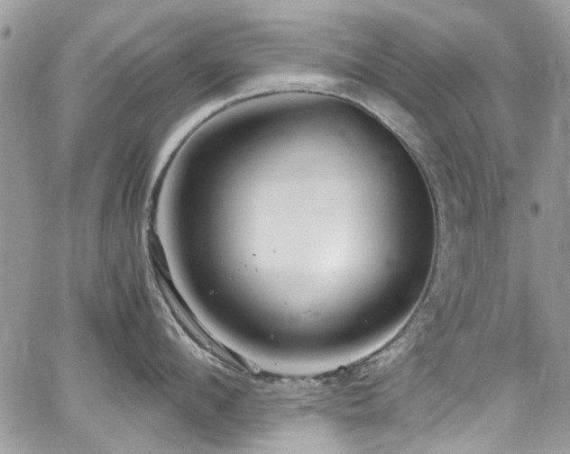 X0000065240912200602171421