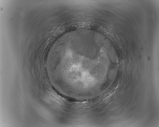 X0000065240913200602171420