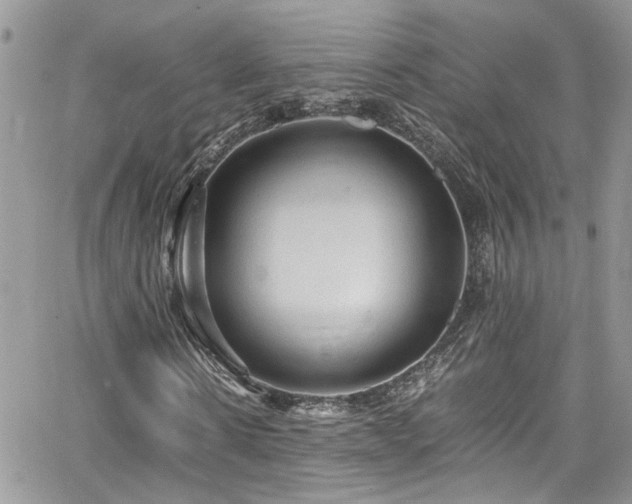 X0000065240914200602171420