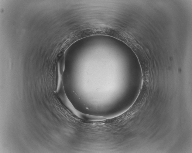 X0000065240916200602171420