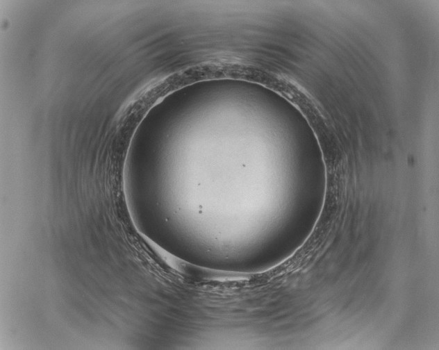 X0000065240919200602171420