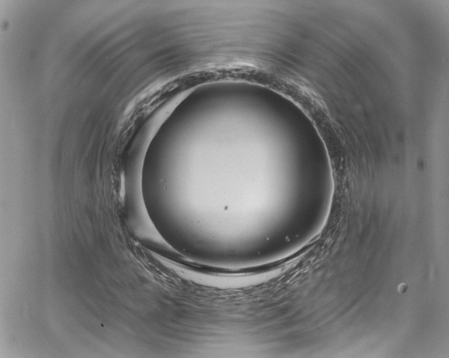 X0000065240920200602171420