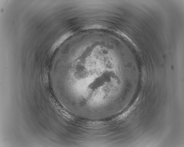 X0000065240921200602171420