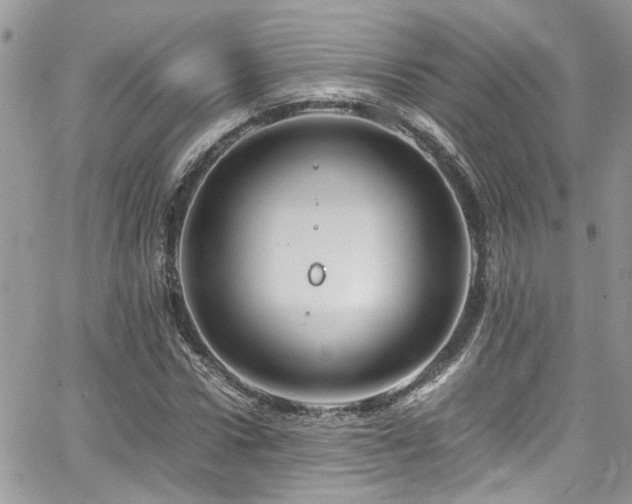 X0000065240922200602171420