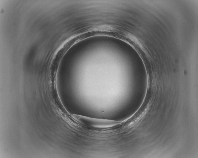 X0000065240923200602171420