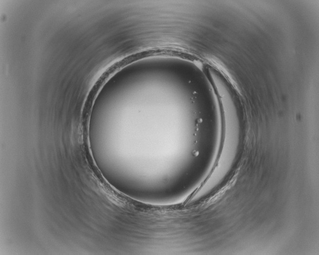 X0000065240924200602171420