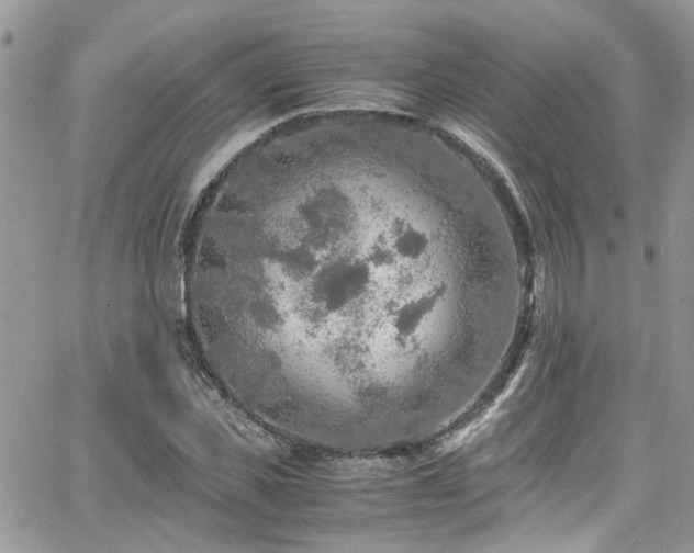 X0000065240925200602171420