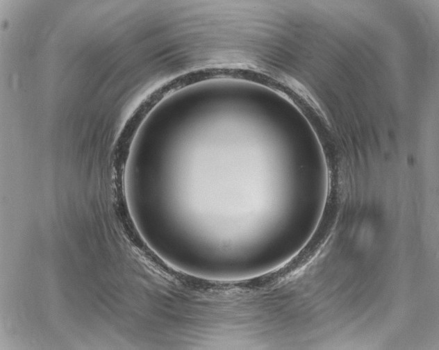 X0000065240926200602171420