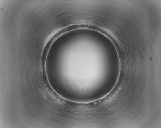 X0000065240927200602171420