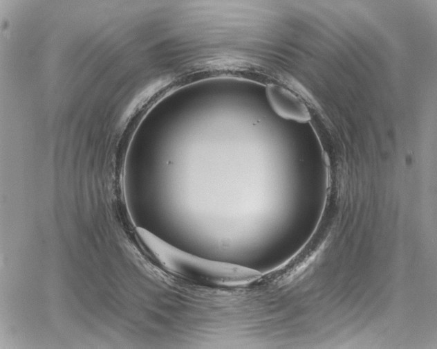 X0000065240930200602171420