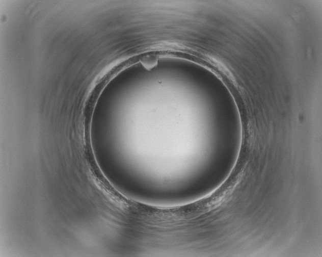 X0000065240931200602171420