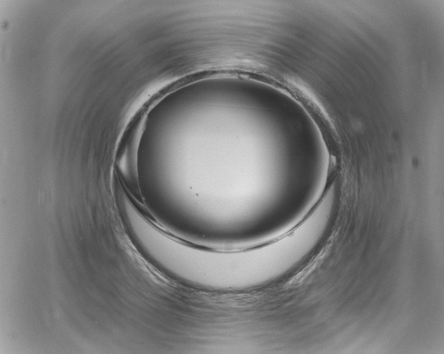 X0000065240932200602171420