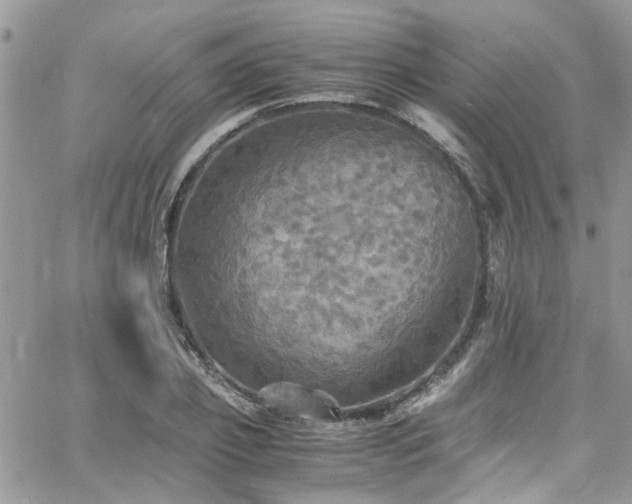 X0000065240933200602171420