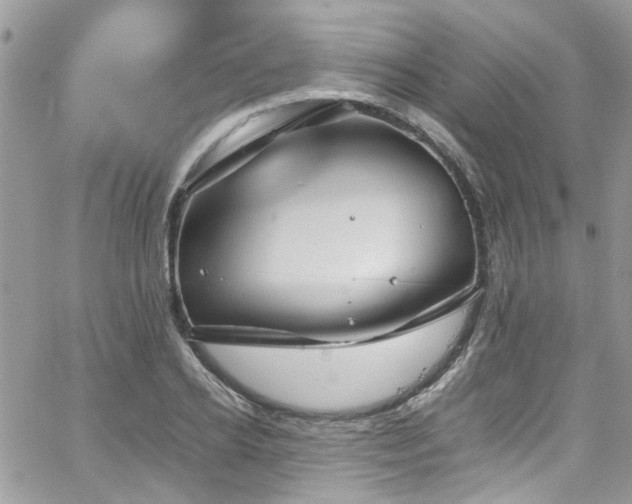 X0000065240934200602171420