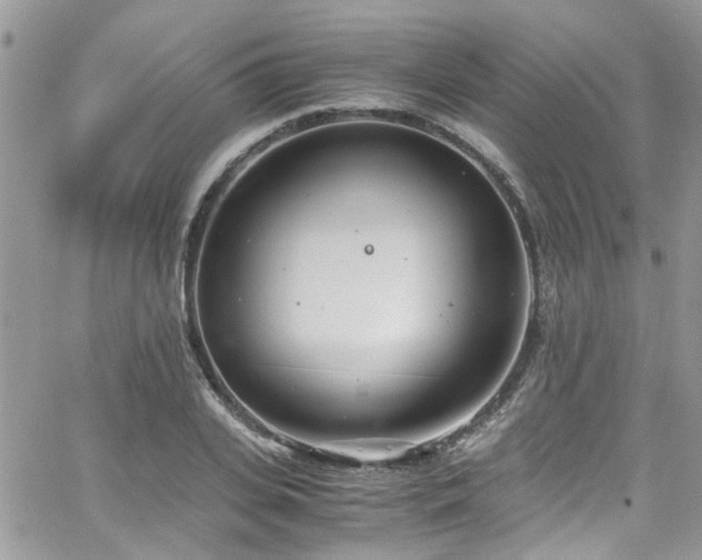 X0000065240935200602171420